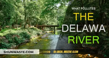 Human Impact: Polluting the Delaware River