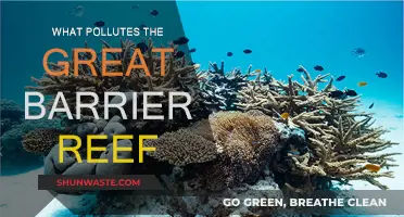 Human Impact: Polluting the Great Barrier Reef