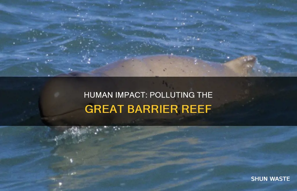 what pollutes the great barrier reef