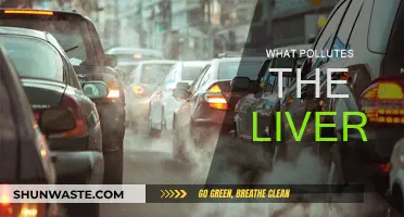 Liver Pollution: The Silent Killers You Consume