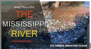 The Mississippi River: Pollution Sources and Impacts
