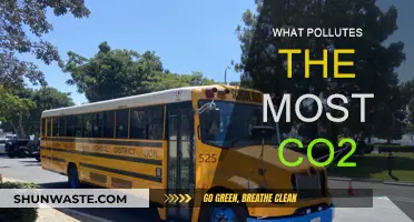 Transportation: The Largest CO2 Polluter