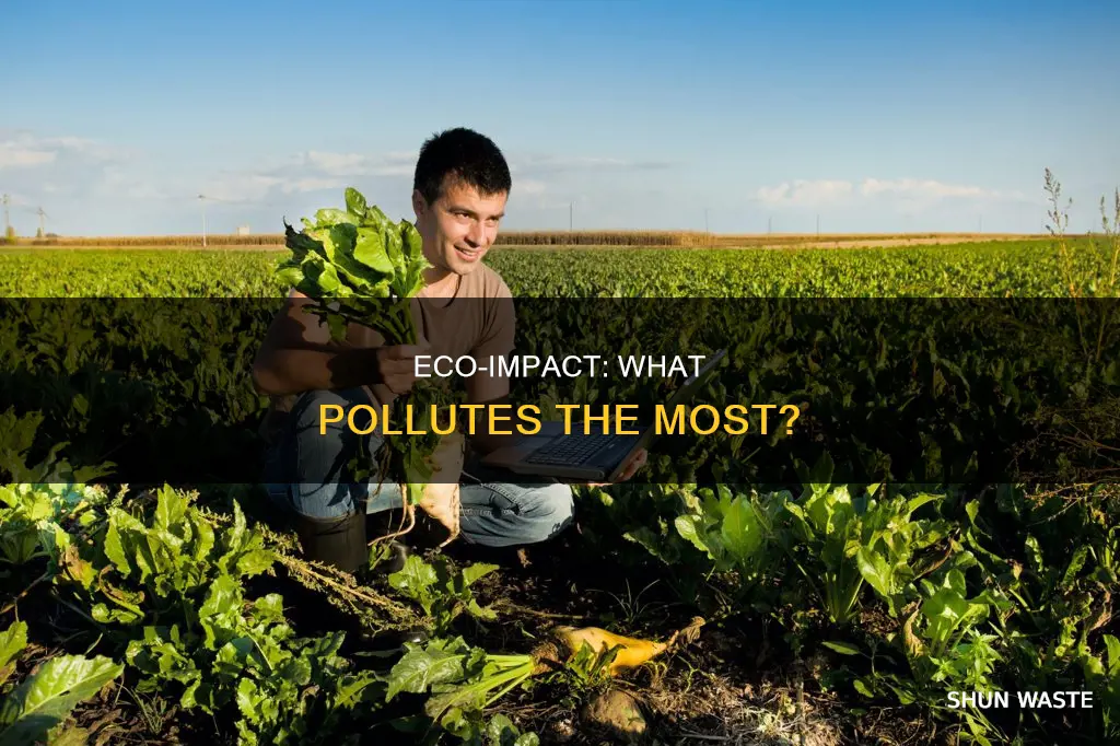 what pollutes the most in eco