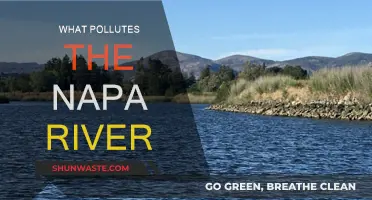 Napa River: Industrial and Agricultural Pollution Sources