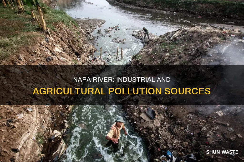 what pollutes the napa river