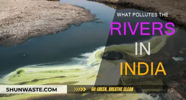 Human Activities Polluting India's Rivers