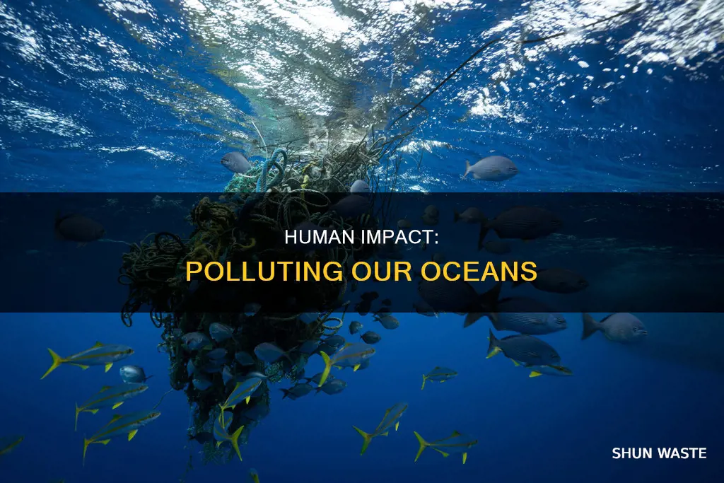what pollutes the sea