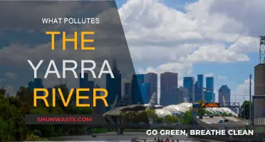 Yarra River Pollution: Causes and Effects