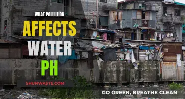 Water Pollution: Understanding the pH Impact