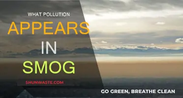 Air Pollution: What's in Smog?