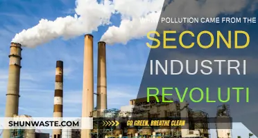 Industrial Revolution's Dark Legacy: Pollution's Birth