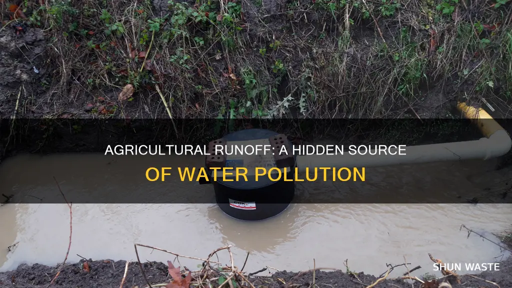 what pollution can be in agricultural runoff