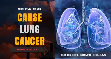 Unveiling the Hidden Dangers: Pollution's Link to Lung Cancer