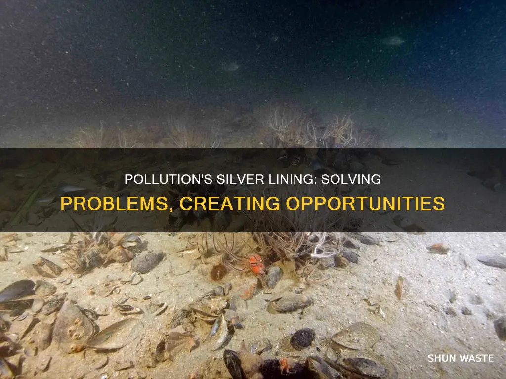 what pollution can solve