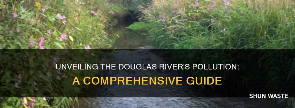 what pollution can you find in the river douglas