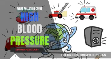 Pollution's Impact: Unveiling the Link to Rising Blood Pressure