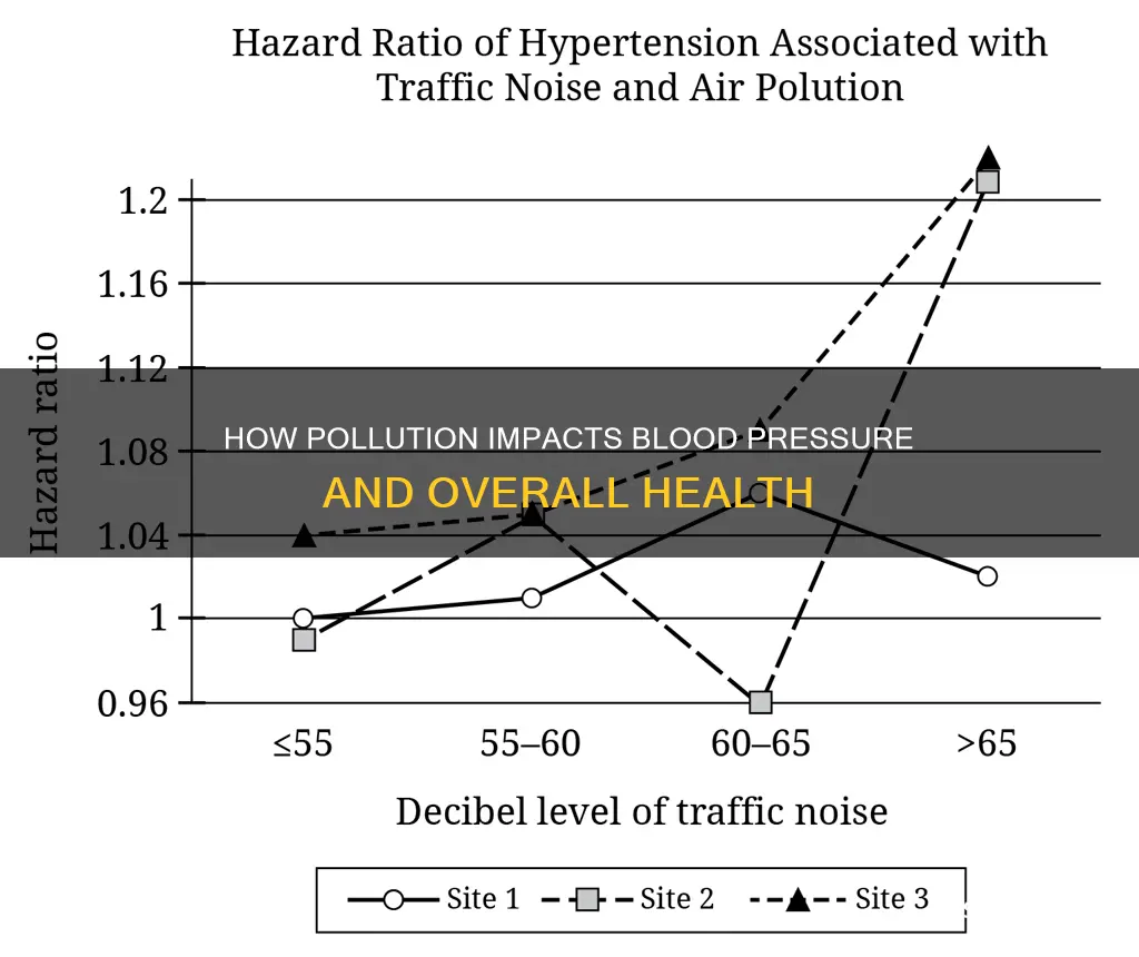 what pollution cause high blood pressure