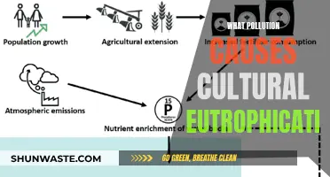 Unveiling the Hidden Culprits: Understanding Cultural Eutrophication's Pollution Origins