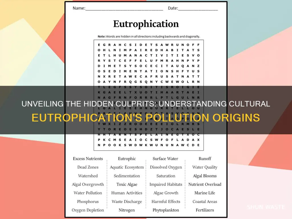 what pollution causes cultural eutrophication