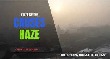 Unveiling the Haze: Understanding the Impact of Air Pollution