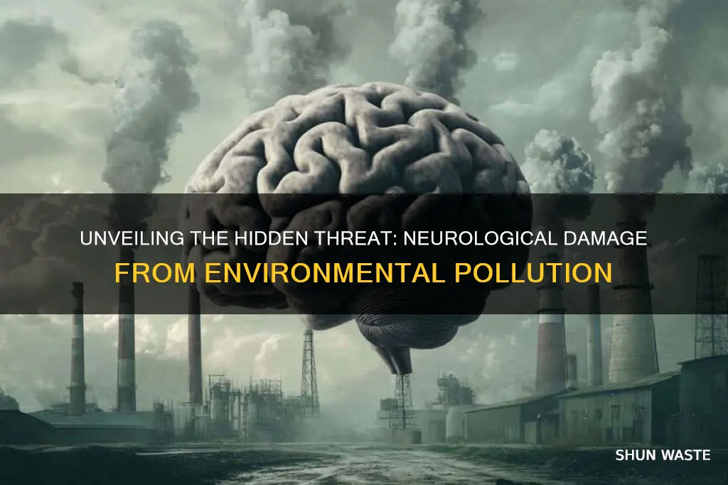 what pollution causes neurological damage