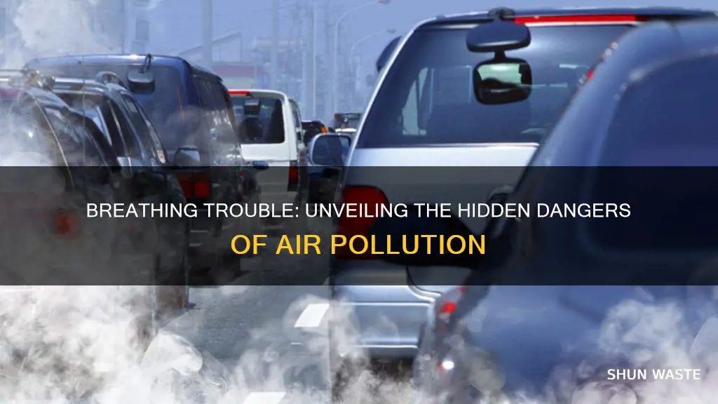 what pollution causes respiratory problems