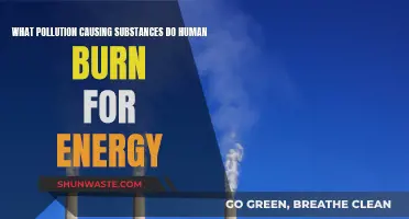 Human Energy: The Dark Side of Burning Fossil Fuels