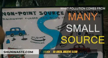 Small Sources, Big Impact: Understanding Diffuse Pollution
