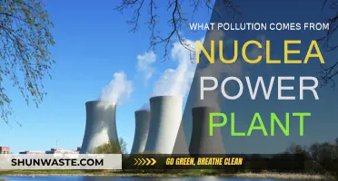 Nuclear Power Plants: What Pollution Do They Cause?
