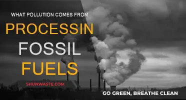Fossil Fuel Processing: A Major Source of Pollution