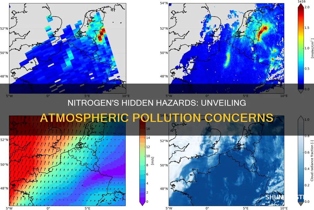 what pollution concerns could excess nitrogen in the atmosphere cause