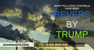 Trump's Rollback: Pollution Controls Reversed