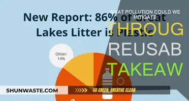 Reusable Takeaway: Reducing Pollution, One Step at a Time