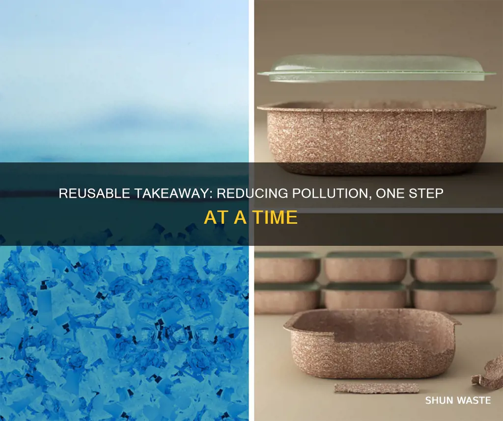 what pollution could we mitigate through reusable takeaway
