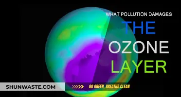 How Pollution Erodes the Ozone Layer