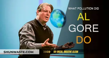Al Gore's Pollution: A Critical Analysis