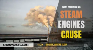 Steam Engines and the Hidden Cost of Progress: Unveiling Industrial Pollution