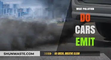 Cars: Understanding Their Pollution Emissions