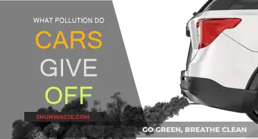 Cars: Emitting Pollution, Harming Our Health