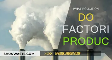 Industrial Pollution: Toxic Emissions from Factories