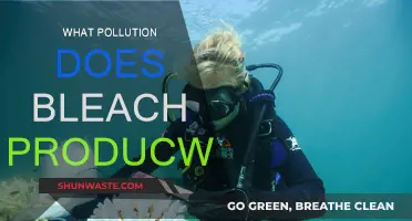 Bleach Pollution: What's the Environmental Impact?