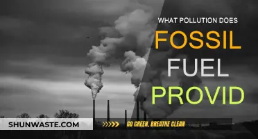 Fossil Fuels: The Pollution Powerhouses