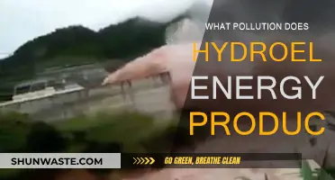 Hydroelectric Energy: What Pollution Is Produced?