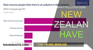 New Zealand's Pollution Problems: A Comprehensive Overview