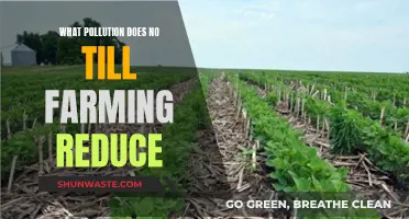 No-Till Farming: Reducing Pollution, Improving Soil Health