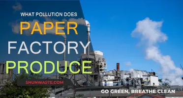 Paper Factories: Understanding Their Pollution and Impact