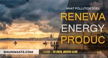 Renewable Energy: Pollution-Free Power?