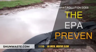 EPA's Mission: Preventing Pollution, Protecting People and the Planet
