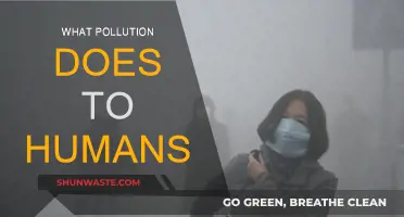 Pollution's Impact: How It Harms Human Health