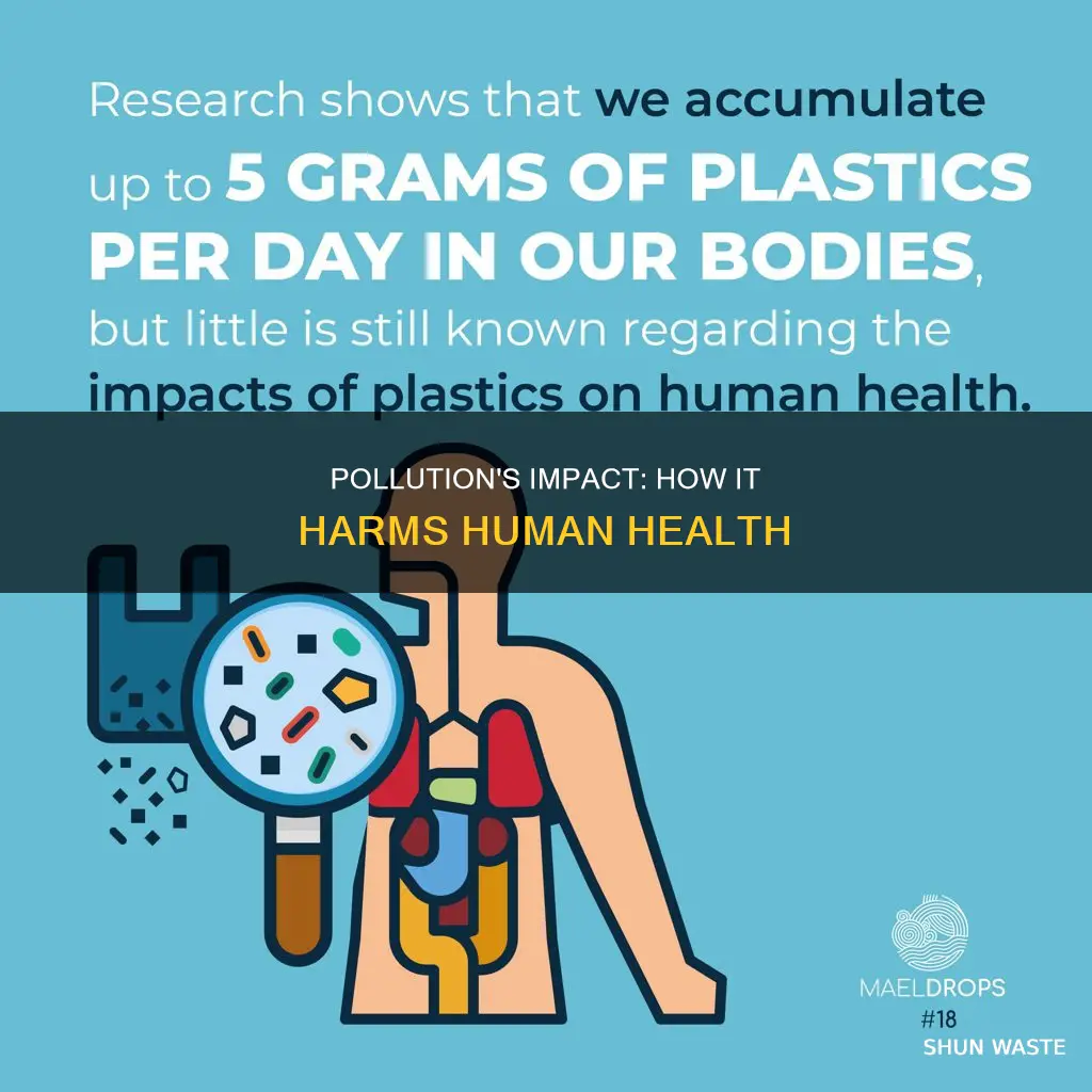 what pollution does to humans